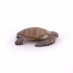 Papo Loggerhead Turtle - Additional view 5