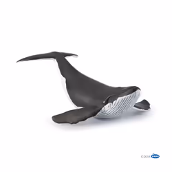 Papo Whale Calf, 3 yr(s), Marine life, Black, White, PVC