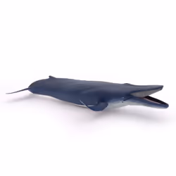 Papo Blue Whale - Additional view 5