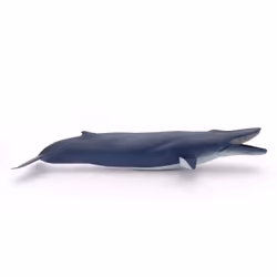 Papo Blue Whale - Additional view 6
