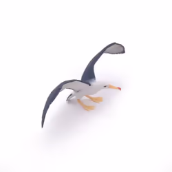 Papo Albatross - Additional view 4