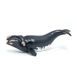 PAPO Marine Life Right Whale Toy Figure - 56057