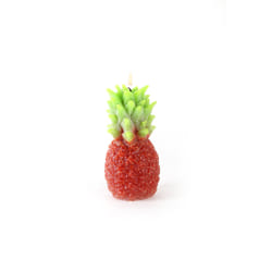 GRAINE CREATIVE 143430 art/craft toy