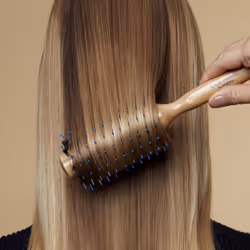 Sisley The Blow-Dry Brush N°1 Universal Round hairbrush Black, Wood 1 pc(s)