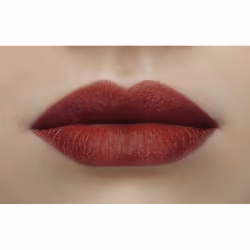 Sisley Phyto-Lip Twist Mat 2.5 g 22 Burgundy Matte