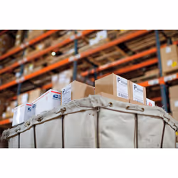 DYMO Extra Large Shipping Labels - 104 x 159 mm - S0904980 - Additional view 4