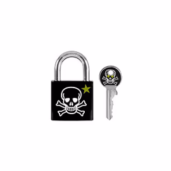 Master Lock Combination Padlock