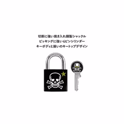 Master Lock Combination Padlock