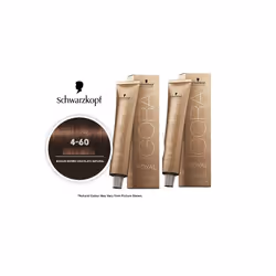 Schwarzkopf Igora Royal 4-60 Medium Brown Chocolate Natural Permanent Color - 2pks