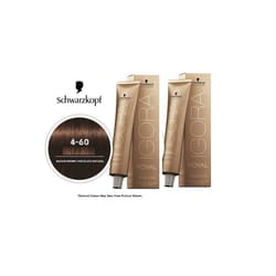 Schwarzkopf Igora Royal 4-60 Medium Brown Chocolate Natural Permanent Color - 2pks