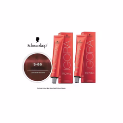 Schwarzkopf Igora Royal 5-88 Light Brown Auburn Red Permanent Color - 2pks