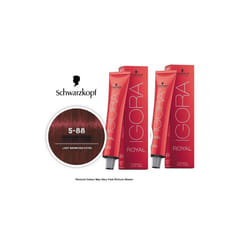 Schwarzkopf Igora Royal 5-88 Light Brown Auburn Red Permanent Color - 2pks