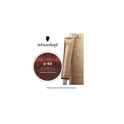Schwarzkopf Igora Royal 6-80 Dark Blonde Red Natural Permanent Color - 1pks