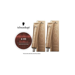 Schwarzkopf Igora Royal 6-80 Dark Blonde Red Natural Permanent Color - 2pks