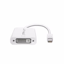 PNY Mini DisplayPort - DVI, Mini DisplayPort, DVI, Male, Female, 1080p, White