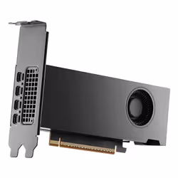 PNY RTX PRO 2000 Blackwell NVIDIA 16 GB GDDR7 - Additional view 3