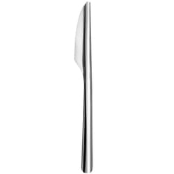 Eco-Conscious Stainless Steel Slim Table Knives - 20x12