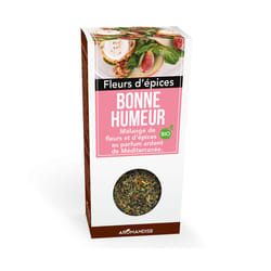 Aromandise HBE15 instant seasoning