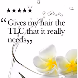 OGX Coconut Miracle Oil Sulfate Free Shampoo for Damaged Hair, Extra Strength, 385 ml