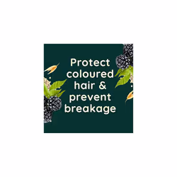 Colour Protect Blackberry and Quinoa Scalp Soothing Shampoo for Colour Treated Hair 300ml