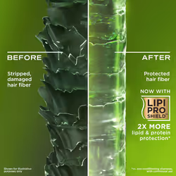 Clarifying Strength and Rosemary Mint Hair Shampoo, 385 ml