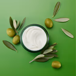 Skin Food Nourishing Day Cream - Additional view 4