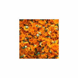 Calendula Toothpaste 75ml