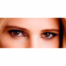Color Riche Brow Artist crayon sourcils #5.0-light brunette