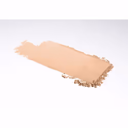 Fit Me MATTE+PORELESS powder  #120-classic ivory