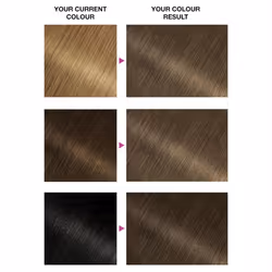 Garnier Olia 6.0 Light Brown No Ammonia Permanent Hair Dye