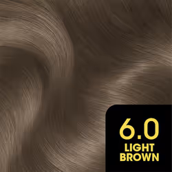 Garnier Olia 6.0 Light Brown No Ammonia Permanent Hair Dye