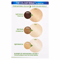 Garnier Nutrisse Truly Blondes D+++ Bleach Lightener Permanent Hair Dye