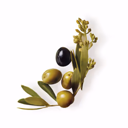 Original Remedies mythical olive mask 300 ml