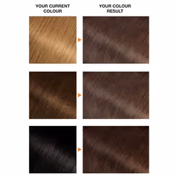 Belle Color Brown Hair Dye Permanent, Natural Looking Hair Colour, Up To 100% Grey Coverage - 5 Natural Brown Pack Of 3