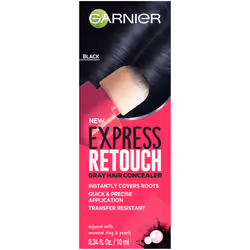 Garnier Hair Color Express Retouch Gray Hair Concealer  Instant Gray Coverage  Black  1 Count