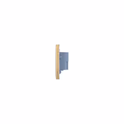 Lisse Screwless Deco - Single Wall Plate with 2 USB Charging Ports, GGBL70042BSBS, Satin Brass with Black Insert