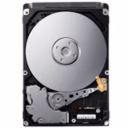 Features:- Max. 750GB formatted capacity per disk;- ATA Security Mode Feature Set;- SATA Native Command Queuing Feature;- ATA ...