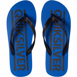 Quiksilver Boys Kids Java Wordmark Summer Beach Thongs Sandals Flip Flops - 12K UK, Blue