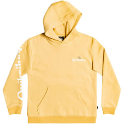 Quiksilver Boys Stir It Up Pullover Hooded Sweatshirt Jumper Hoody Hoodie Top - 16 Yrs, Rattan