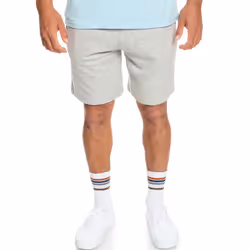 Quiksilver Mens Essentials Sweatpants Joggers Sweat Shorts - 2XL, Limestone