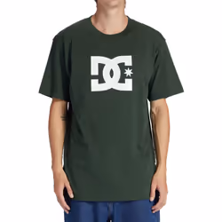 DC Shoes Mens DC Star Casual Short Sleeve Crew Neck Cotton T-Shirt Top Tee - M, Sycamore