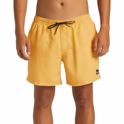 Quiksilver Mens Everyday Delux Volley 15" Swim Swimming Trunks Shorts - S, Radient Yellow