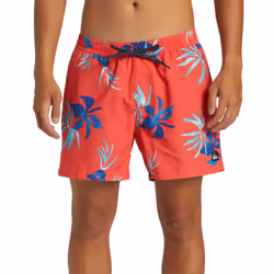 Quiksilver Mens Everyday Mix Volley 15" Swim Swimming Trunks Shorts - S, Cayenne