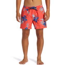 Quiksilver Mens Everyday Mix Volley 15" Swim Swimming Trunks Shorts - S, Cayenne