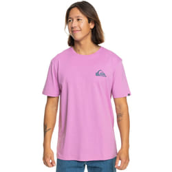 Quiksilver Mens MW Mini Short Sleeve Crew Neck Cotton T-Shirt Top Tee - S, Violet