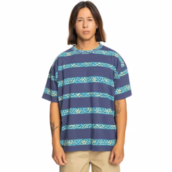Quiksilver Mens Take Us Back Short Sleeve Crew Neck Cotton T-Shirt Top Tee - M, Crown Blue