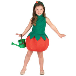 ) Girls' strawberry dress costume - 3 - 4 years (XS