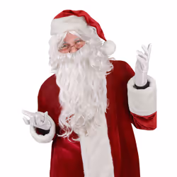 Adult White Santa Wig and Beard