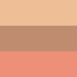 Rimmel Terra Sculpting Palette, 002 Coral - Additional view 5