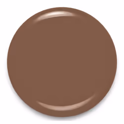 Bourjois 1 seconde nail polish 9 ml Brown